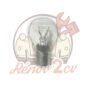 Ampoule 12 volts 21/5w bay15d